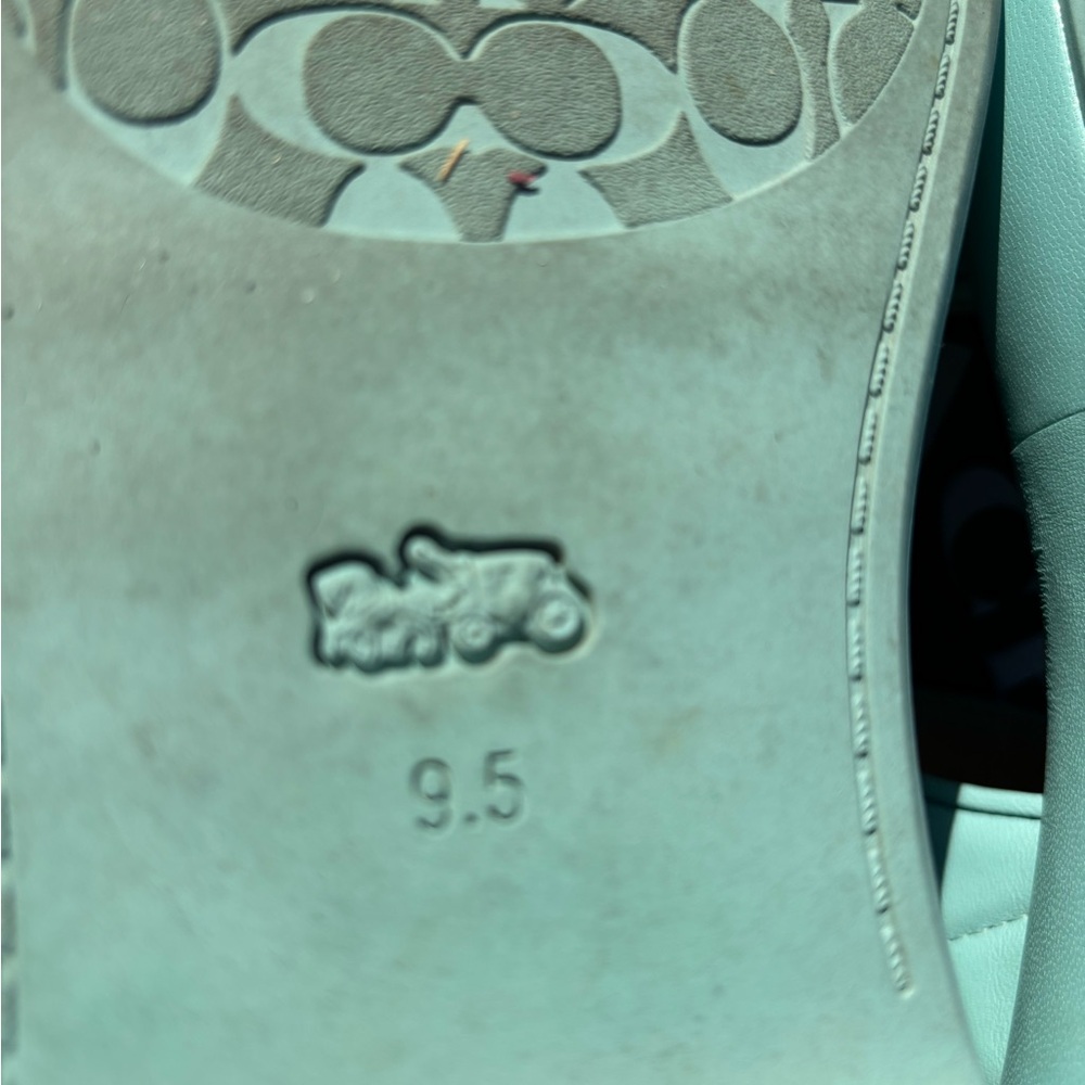 Coach Peyton Double Buckle Teal Sandals - Picture 10 of 11